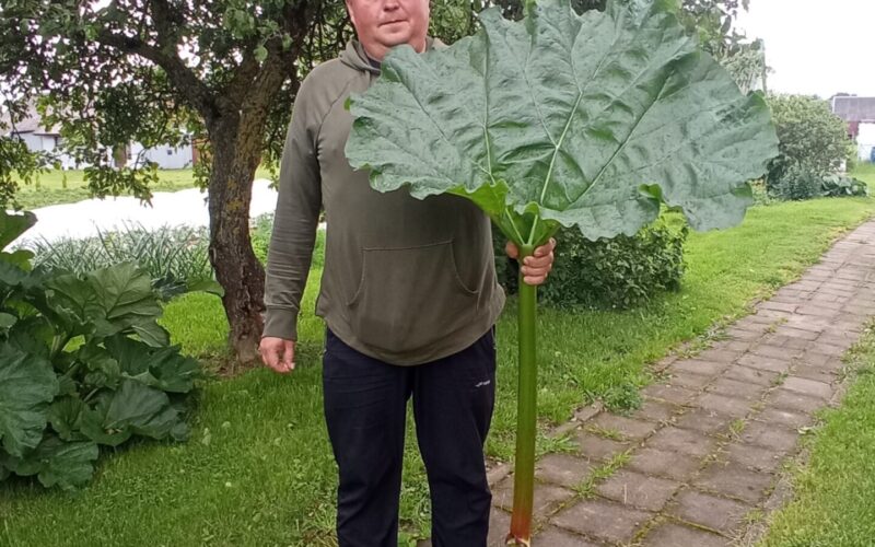 Facebook grupės nuotrauka, su Vytauto leidimu.