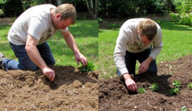 effortless gardening transformation