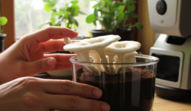 grow mushrooms from coffee grounds