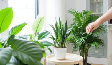 houseplants nature s air purifiers