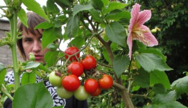 incompatible plants clash when combined