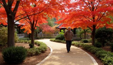 japanese walking method