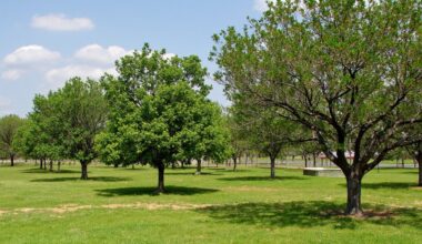 long lived fruit bearing trees