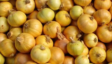 onion discoloration gardening mistake harvest