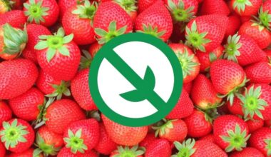 pesticide removing strawberry products concealed from consumers