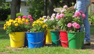 repurposed buckets become garden pots