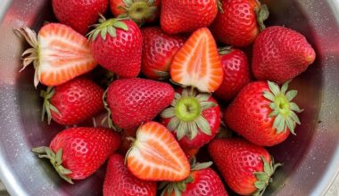 strawberry sourness easily fixable