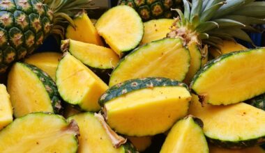 sweet childhood zucchini preserves