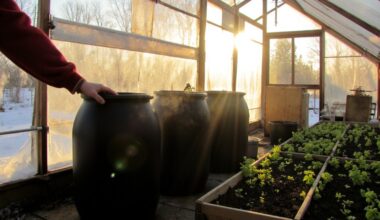 thermal mass stabilizes greenhouse temperature