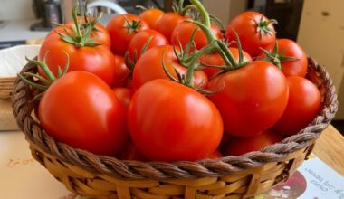 tomato saving kitchen ingredient