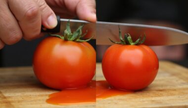 watery tomatoes ruin taste