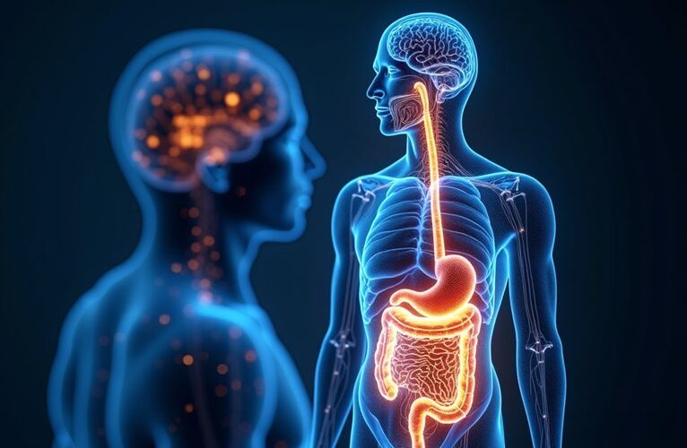 gut brain axis bidirectional communication network