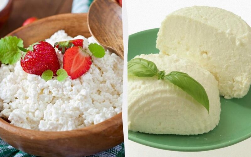 cottage cheese impacts cholesterol nuances