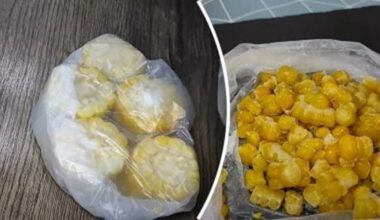 freeze fresh corn storeless