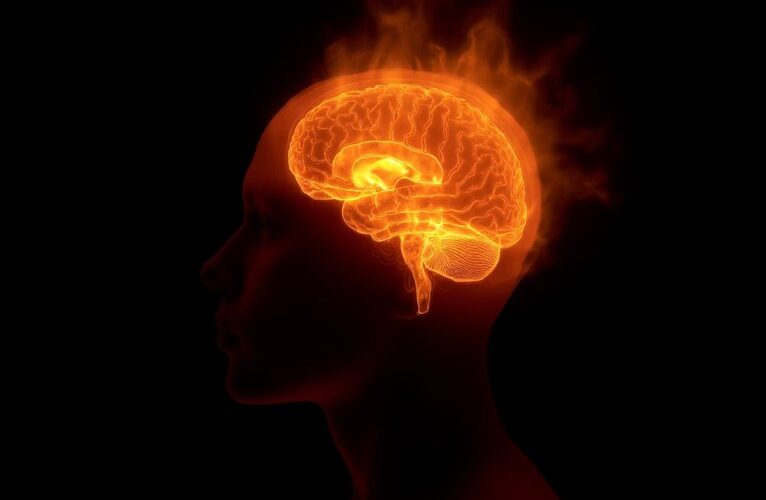 heat alters brain function