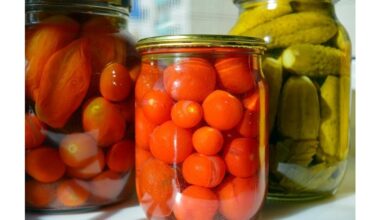 low calorie canned food choices