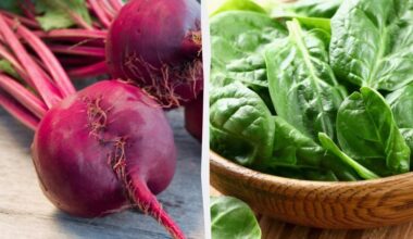 magnesium rich vegetables top eleven
