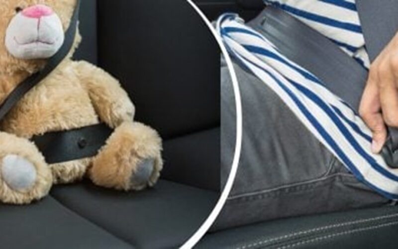 saugos diržo mygtukas didelio smūgio