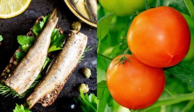 anti aging nutrient rich foods
