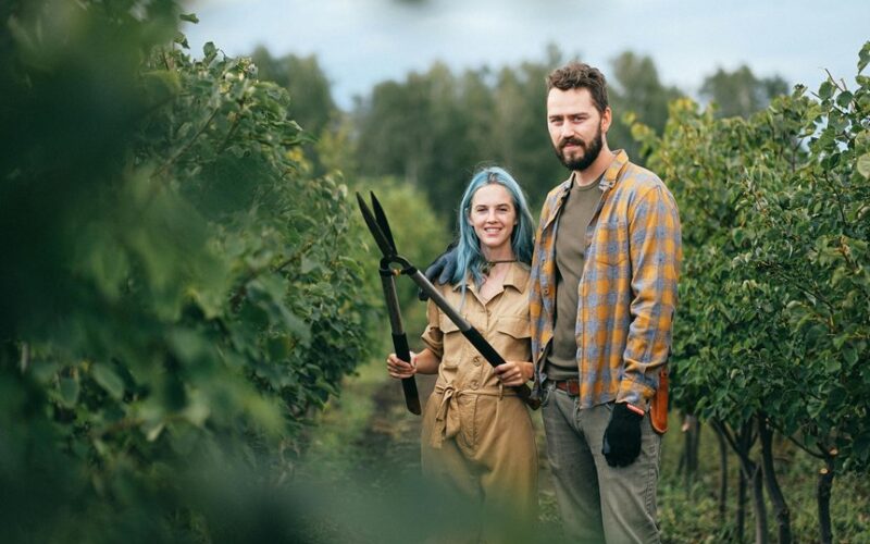 autumn gardening mistakes costing harvest