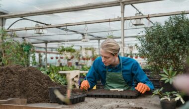 autumn peony planting secrets