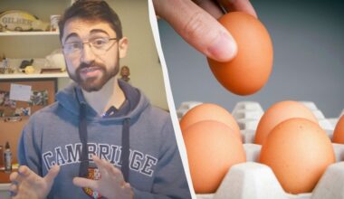 extreme monthly egg consumption effects