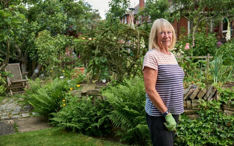 five troublesome yard trees