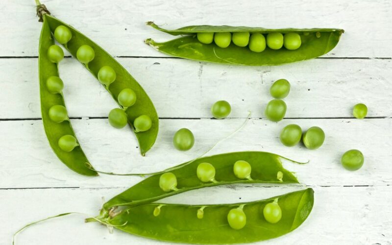 grow peas harvest abundantly