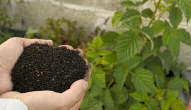 october composting nutrient boost