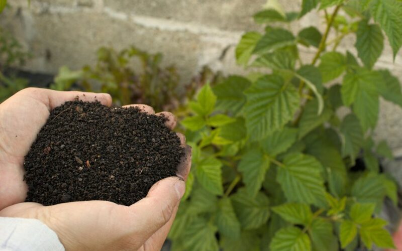 october composting nutrient boost