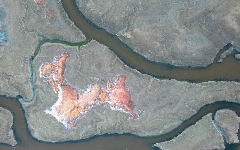 salt s necessary sodium sources