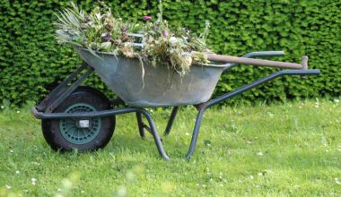 weeds benefit garden soil