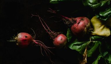 winter planted honey sweet beets