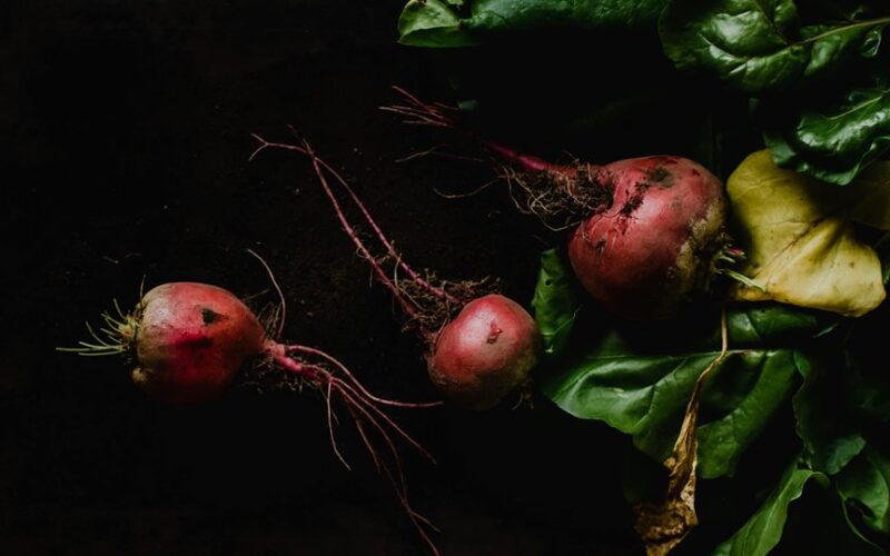 winter planted honey sweet beets