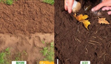 add beneficial nematodes now