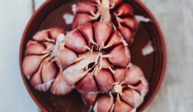 autumn planted bulb rodent proof method