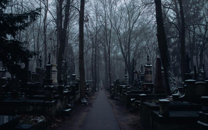 autumn related memory decline restoration