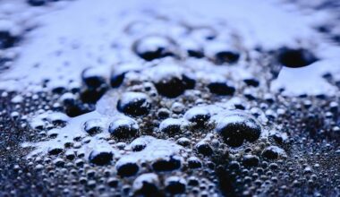 coffee modestly affects hydration