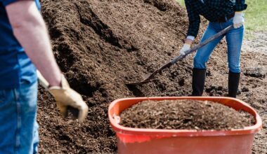 cover compost for winter