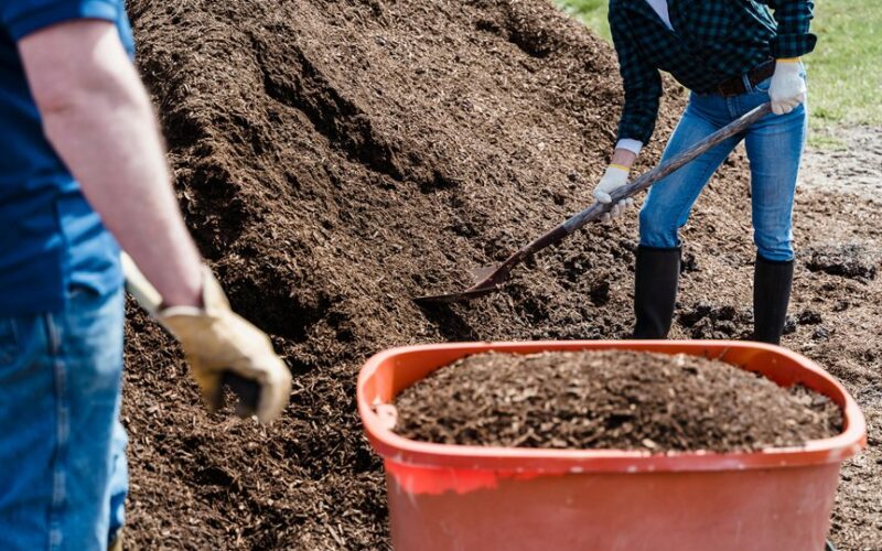 cover compost for winter