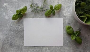 dry dill as sprigs