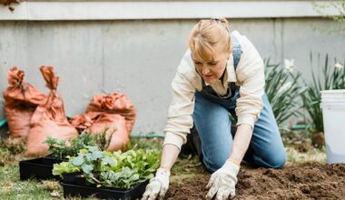 eight centimeter mulch protection