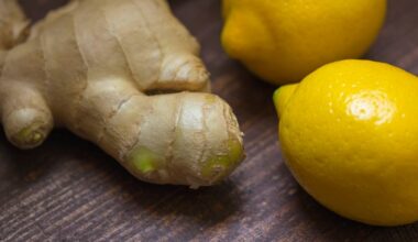 grow ginger from rhizomes