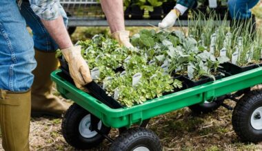loosening greenhouse soil techniques