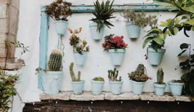 october potted flower choices