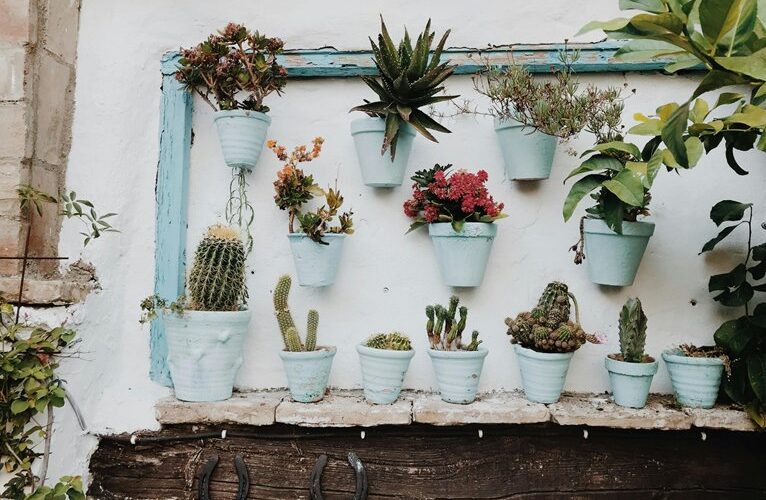 october potted flower choices