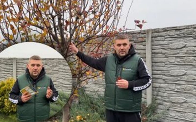 post fall garden pest treatment