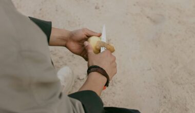 potato peels are valuable