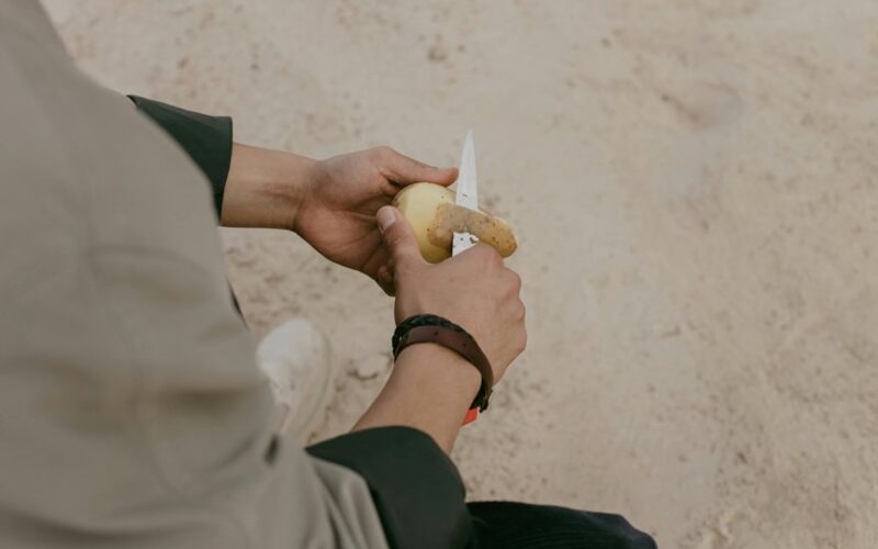 potato peels are valuable