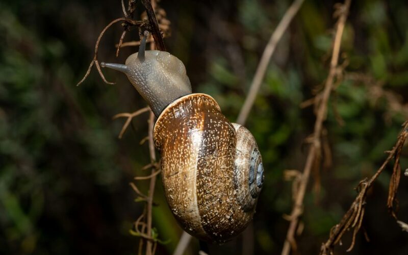 poured two spoons fall